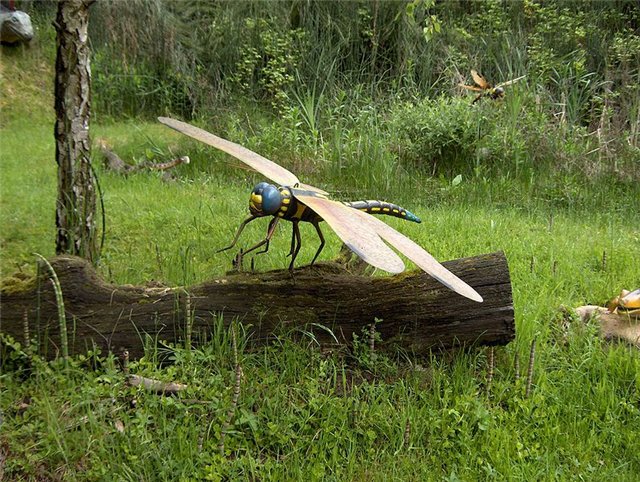 Меганевра - стрекоза с размахом крыльев 75 см