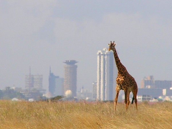 On-location-in-Nairobi-600x450
